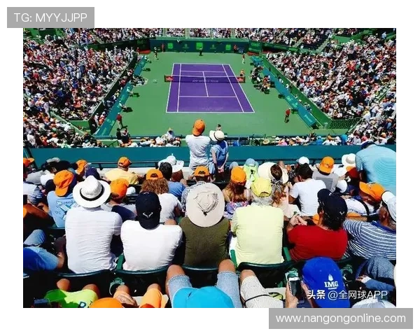 世界网坛最新动态：顶尖球星激战赛事引关注